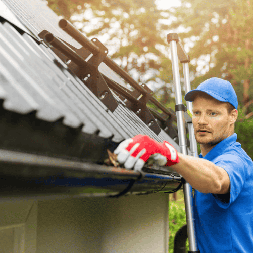 Why Buda, TX Homeowners Need Gutter Cleaning Services